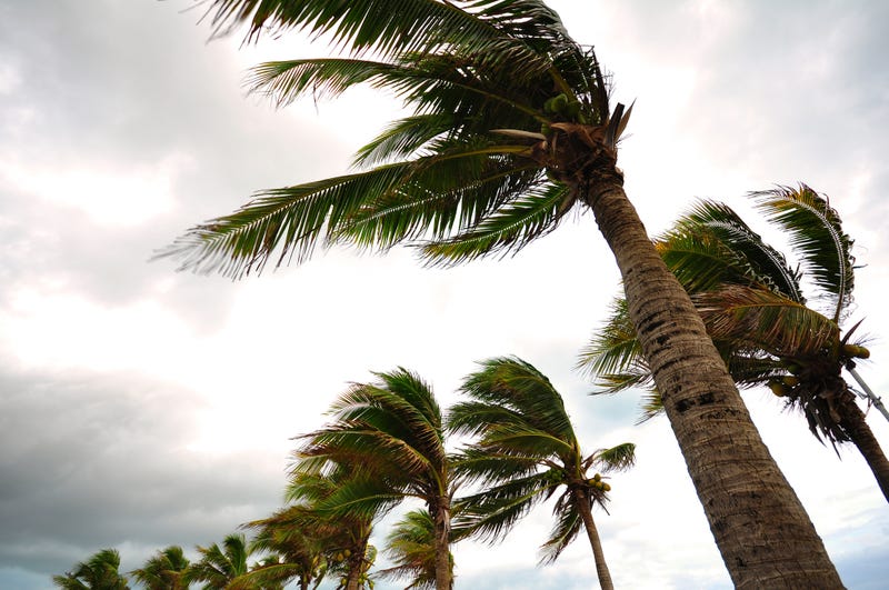 Winds