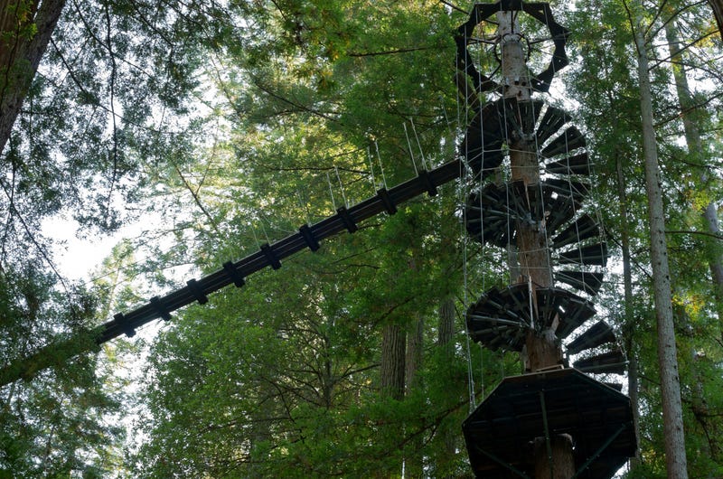 zipline structures in redwoods in Sonoma County
