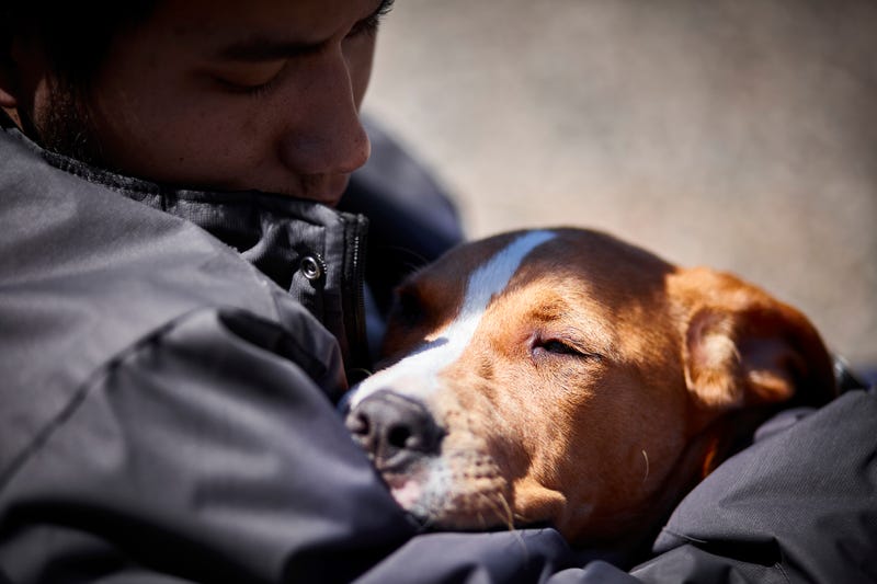Man with dog