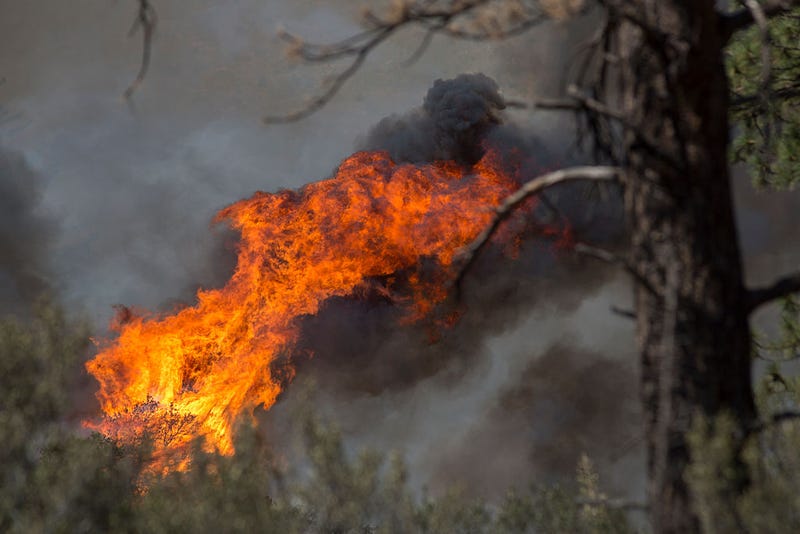 Couple Takes Wedding Photo Amid California Wildfires