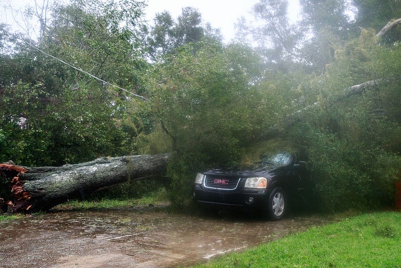 ORMOND BEACH, FL - OCTOBER 7: A downed tree from high winds rests against a car in a residential community after Hurricane Matthew passes through on October 7, 2016.