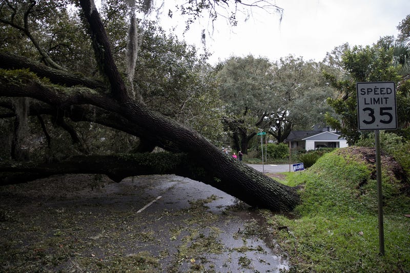 Falling tree
