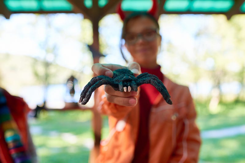 A kid holds out a fake spider