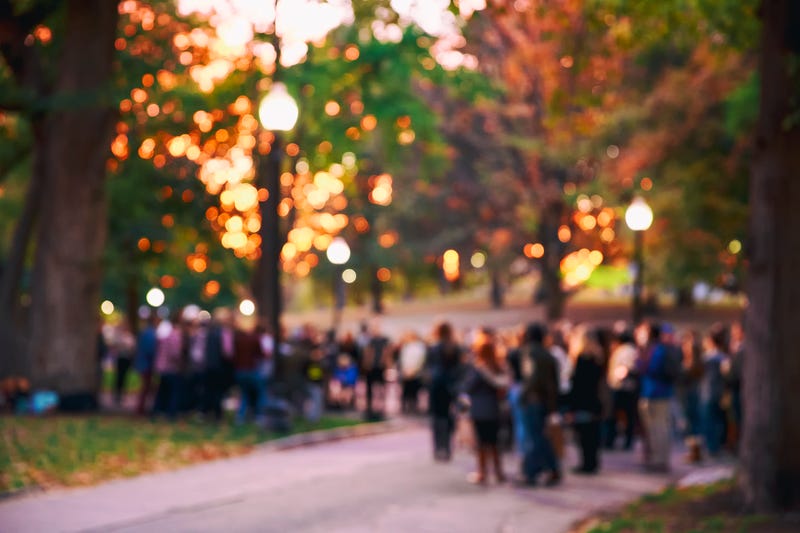 Fall for the Arts Festival
