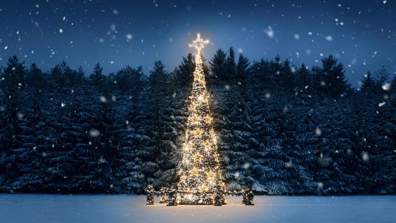Photo Credit: Nastco_iStock / Getty Images Plus