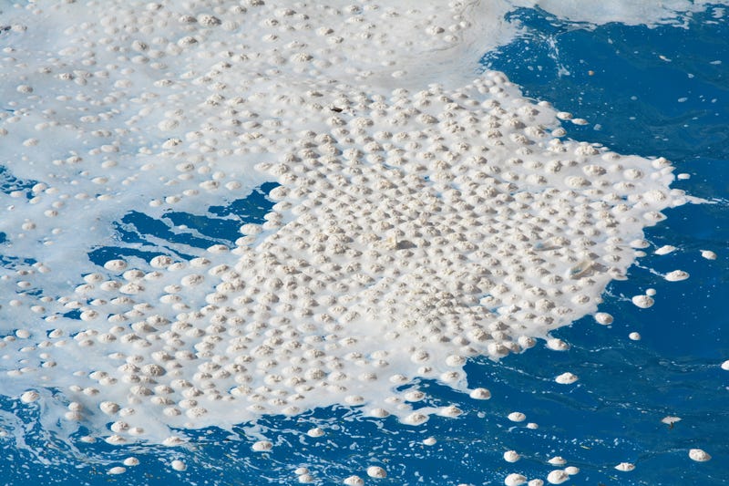 An image of sea snot in Yugoslavia