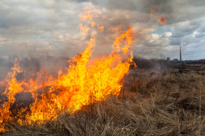 Santa Rosa police are investigating the cause of four small fires started within an hour early Wednesday morning.
