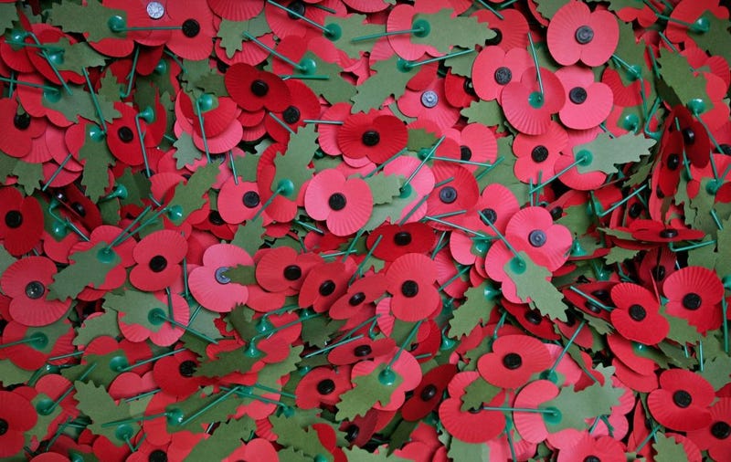 poppy