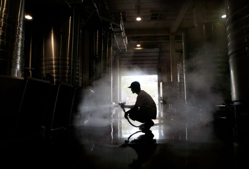 A worker uses a hose to clean out plastic bins in the fermenting tank room on October 9, 2007 in Napa, California.