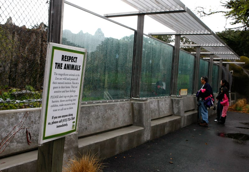 zoo