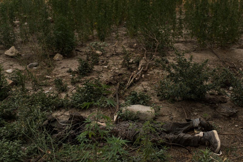 The body of an ISIS-K fighter killed by an airstrike lays on the ground a few hundred meters from where the GBU-43/B Massive Ordnance Air Blast, nicknamed the 'Mother of All Bombs’, was dropped in the Momand Valley on July 16, 2017 in Achin District, Afghanistan. Operations are currently underway to remove ISIS fighters from Nangarhar Province in Eastern Afghanistan. (Photo by Andrew Renneisen/Getty Images)