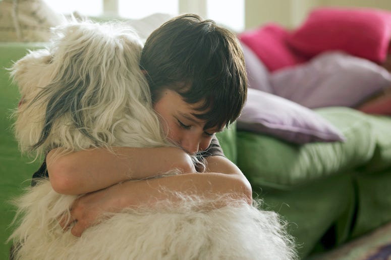 Boy, Dog, Hug, Hugging Dog