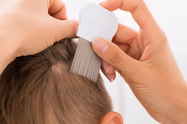Close-up Of female doctor doing treatment on boy's hair with comb