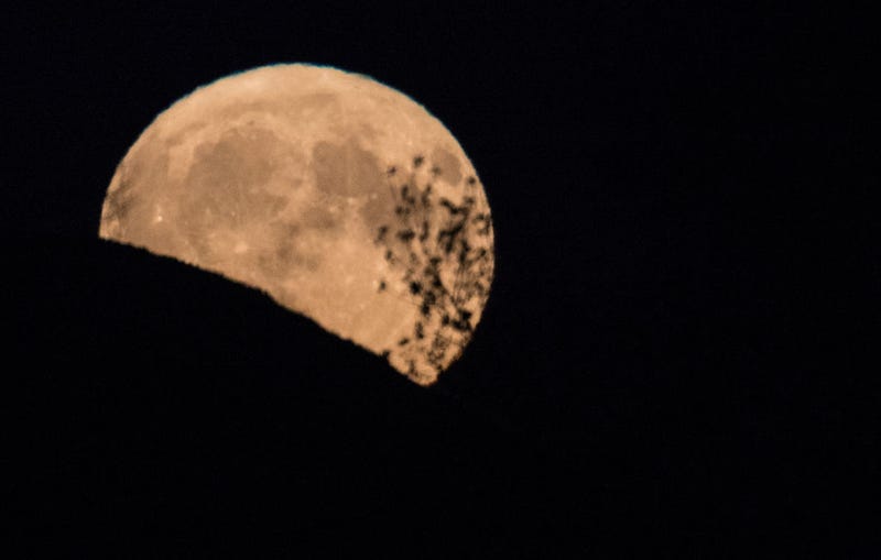 A harvest moon rises.