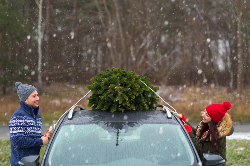 A couple attaching a Christmas tree to their car. 