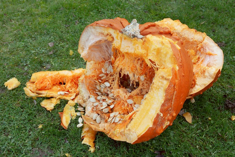 Broken Pumpkin, Innards, Pumpkin, Grass