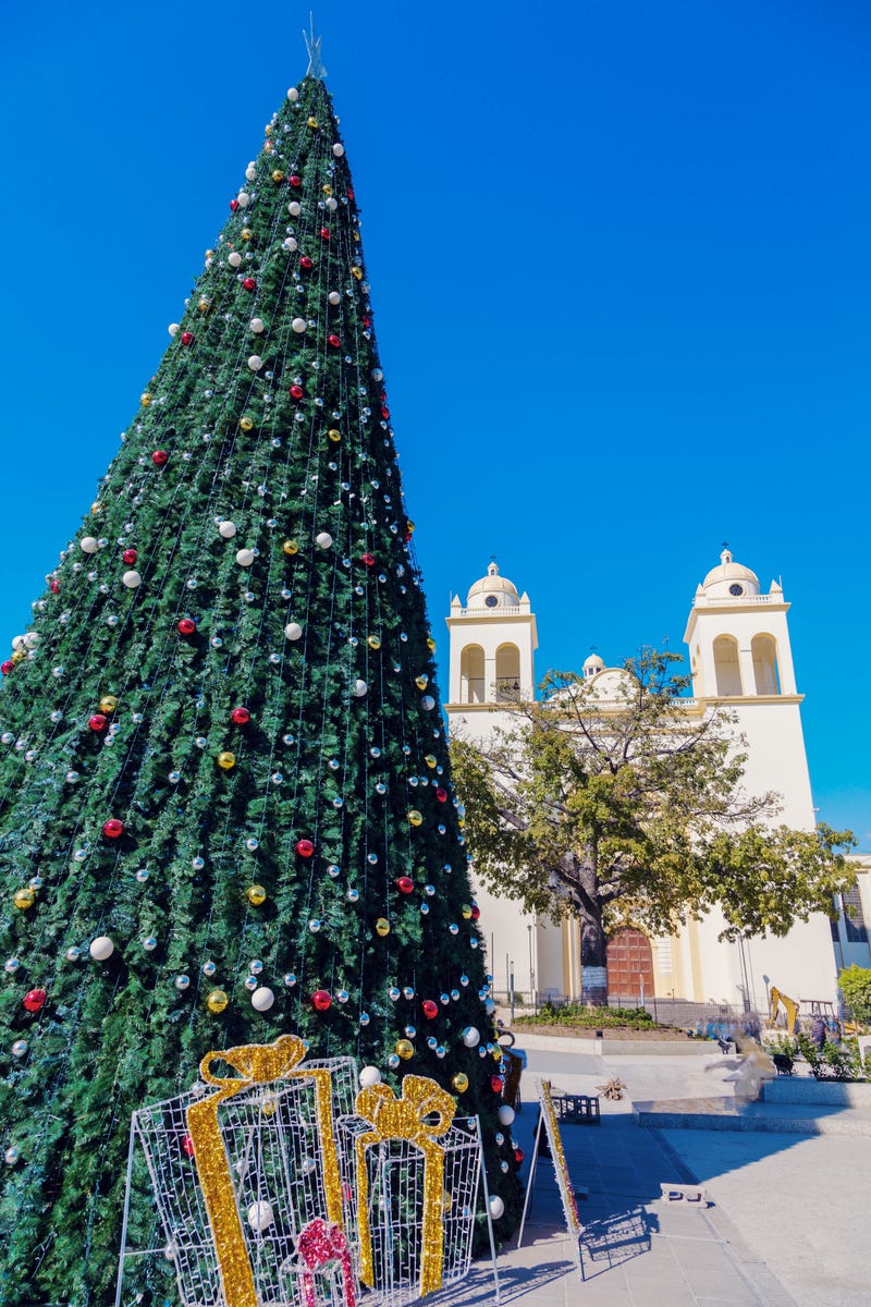San Salvador Cathedral and Christmas tree on Plaza Barrios. San Salvador, El Salvador