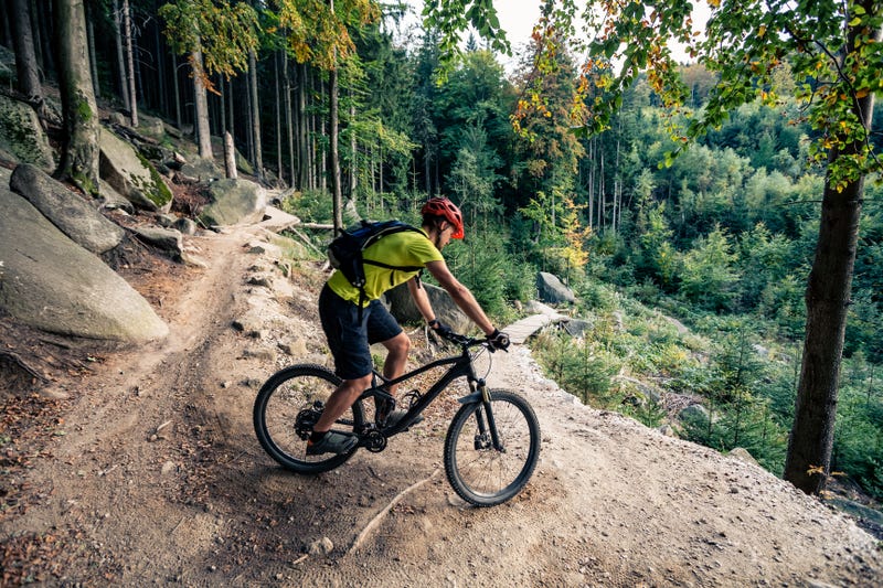 A mountain biker rides the trails