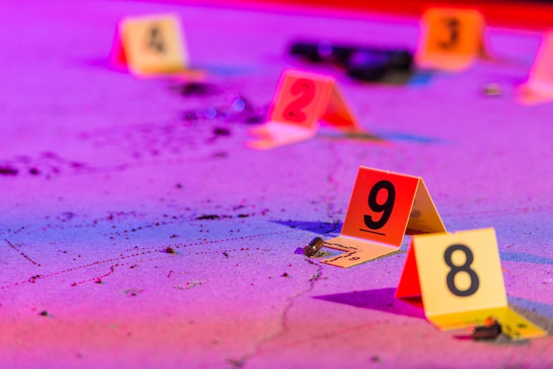 Shell casings