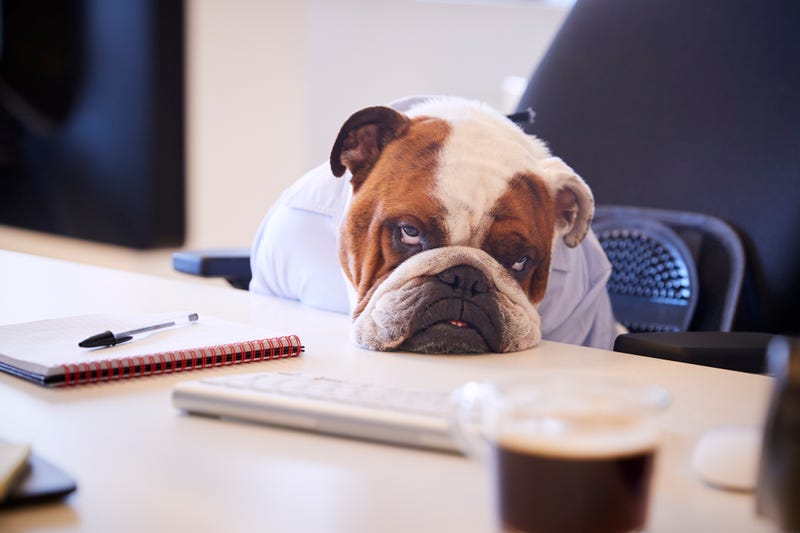 iStock / Getty Images Plus