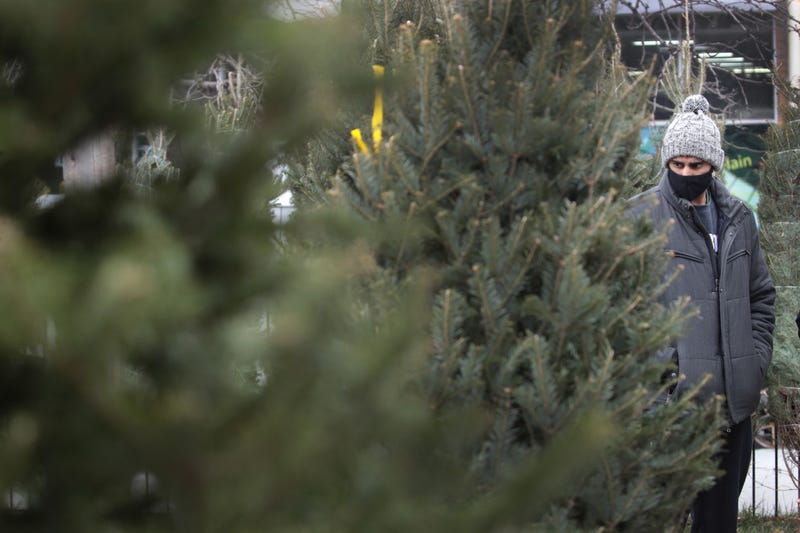 Christmas Trees