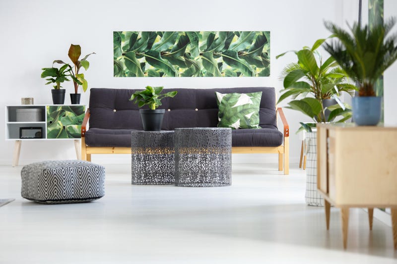 Green living room