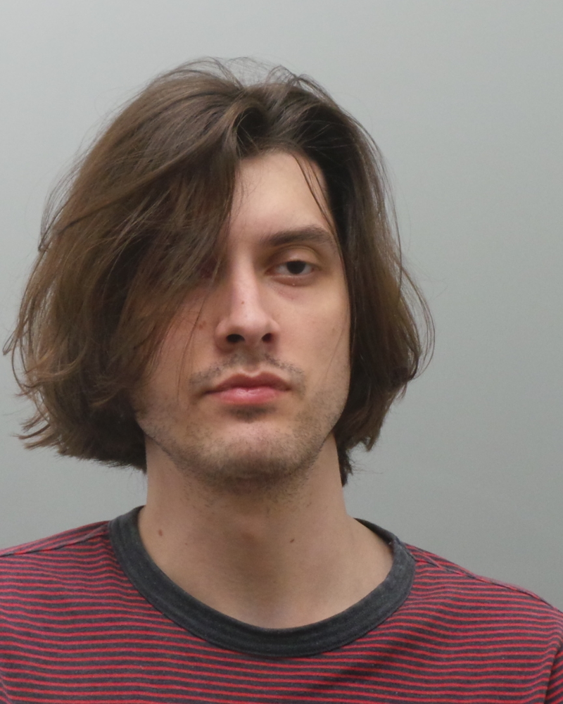 mugshot of brandon holbrook, wears striped shirt and has long hair