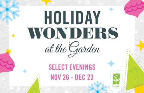 Holiday Wonders