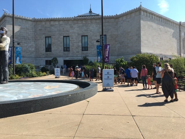 Shedd Aquarium Reopening line