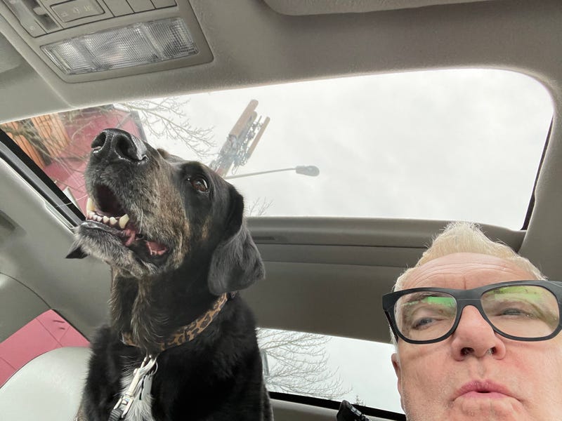 Me and my dog Hazel in the car
