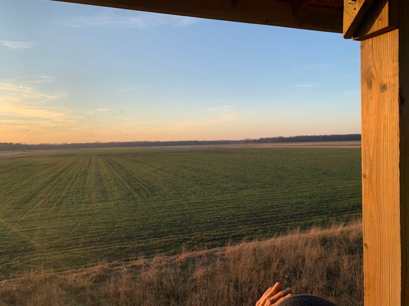 Jasper-Pulaski Fish and Wildlife Area