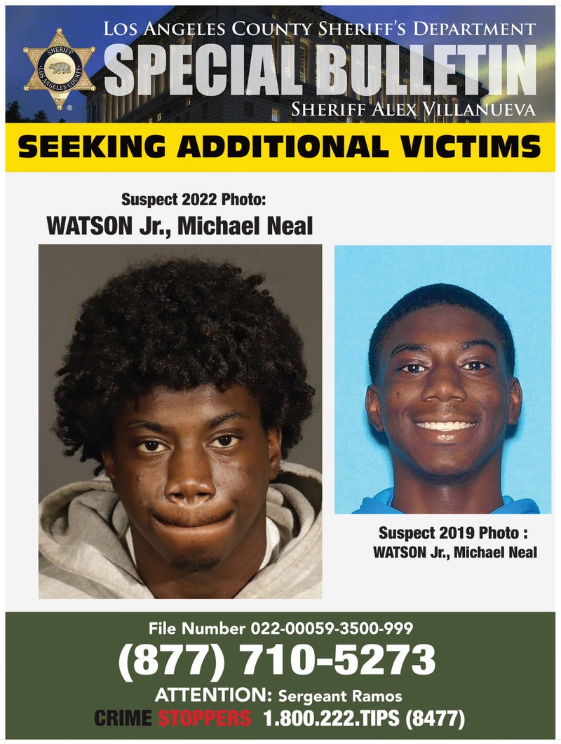 photos of suspects