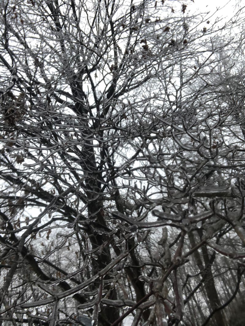Ice in Midlothian