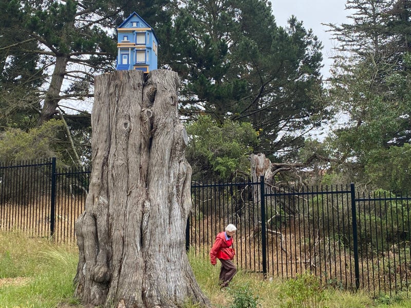 A mysterious mini Victorian House has appeared in San Francisco's Golden Gate Park.