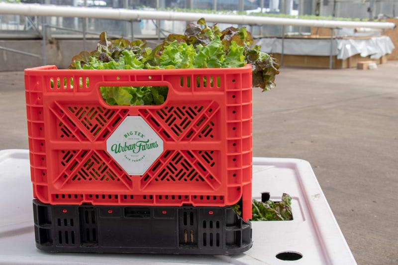 Big Tex Urban Farm