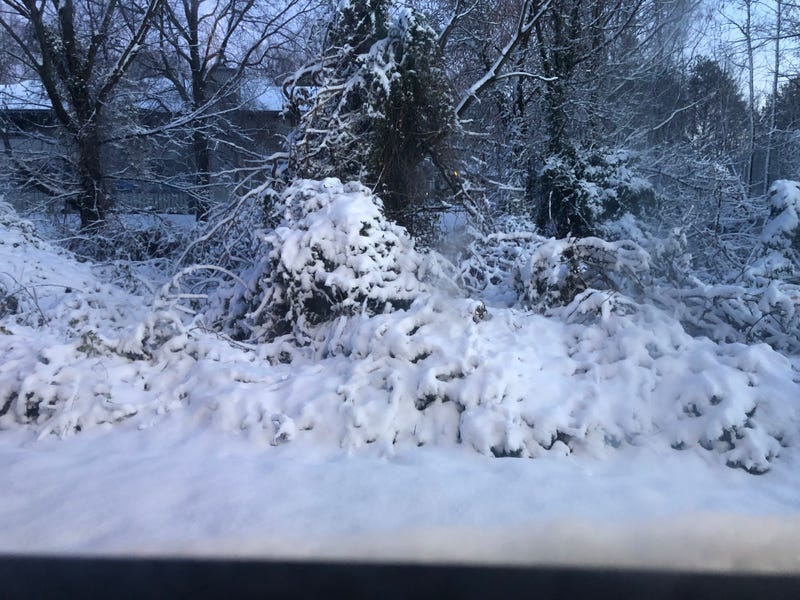 Snow in Henrico in early January.