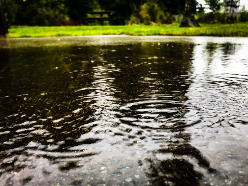 Rain puddle on a grey cloudy December day