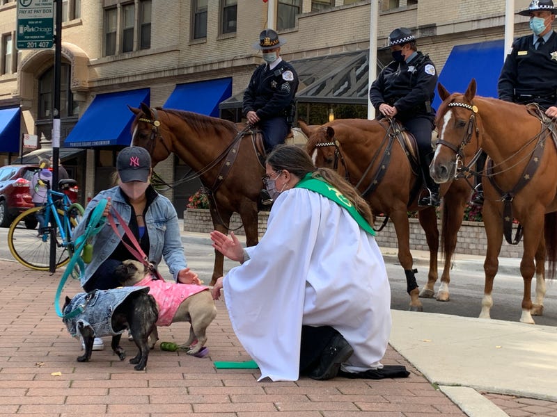 Chicago police horses among 60 pets blessed during church service