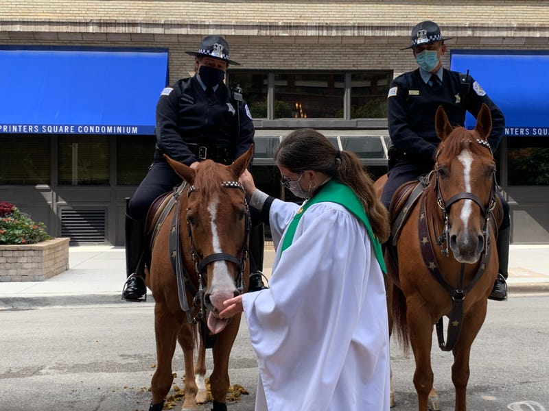 Chicago police horses among 60 pets blessed during church service