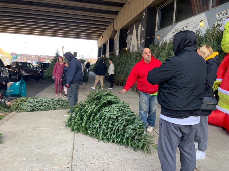 People buying Christmas trees