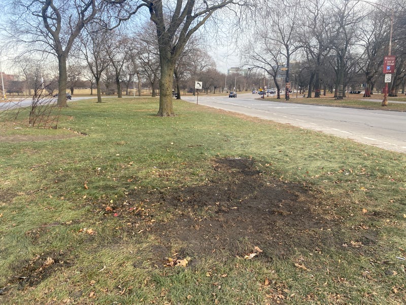 ‘We are not going to be moved or shaken.’ Community plans to replace Christmas tree burned in Washington Park