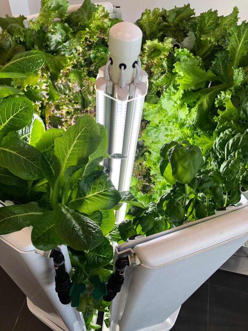 Flex Farm hydroponic system at Operation Food Search