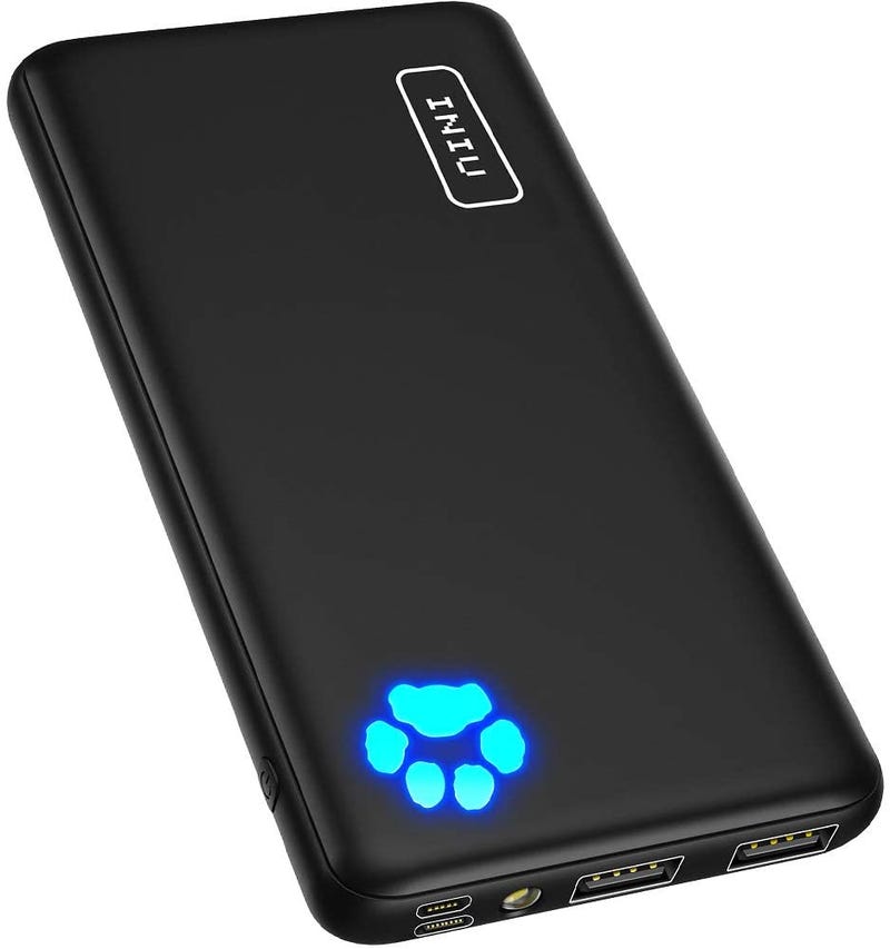 INIU Portable Charger