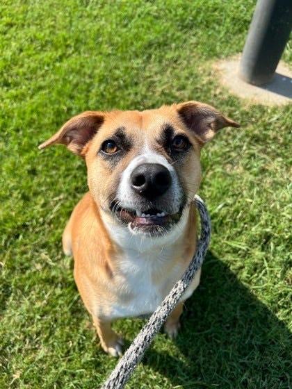 Meet Gwen