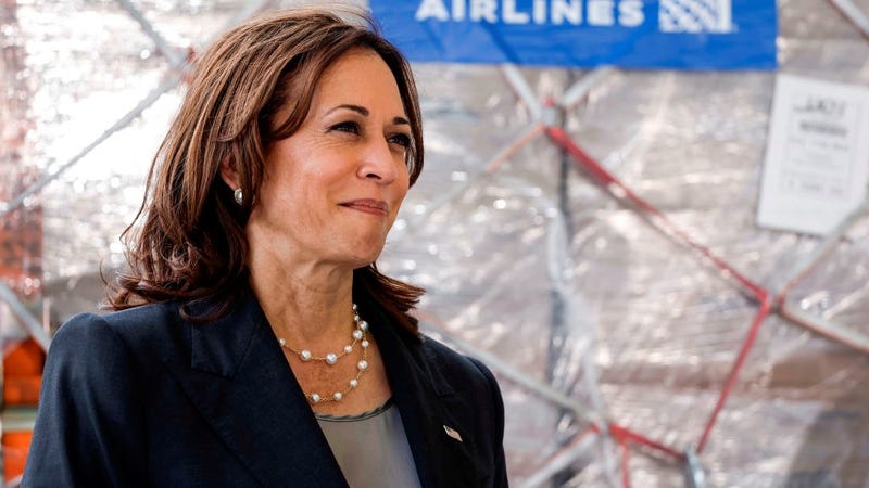 Vice President Kamala Harris stands by pallets of Kendamil baby formula after its arrival on a United Airlines passenger plane from London Heathrow Airport at the Dulles International Airport June 17, 2022 in Dulles, Virginia. 