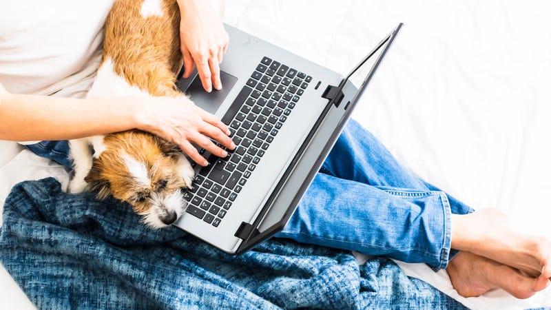 listen while you work from home