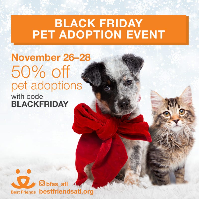 Are you ready to take the plunge and get that sweet furry companion you've always dreamed of?