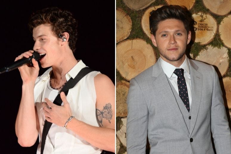 Shawn Mendes and Niall Horan