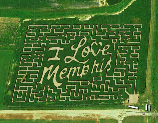 Mid-South Maze