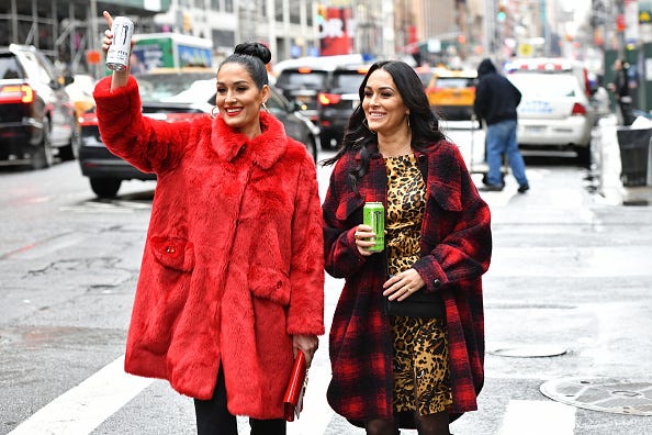 Nikki Bella and Brie Bella